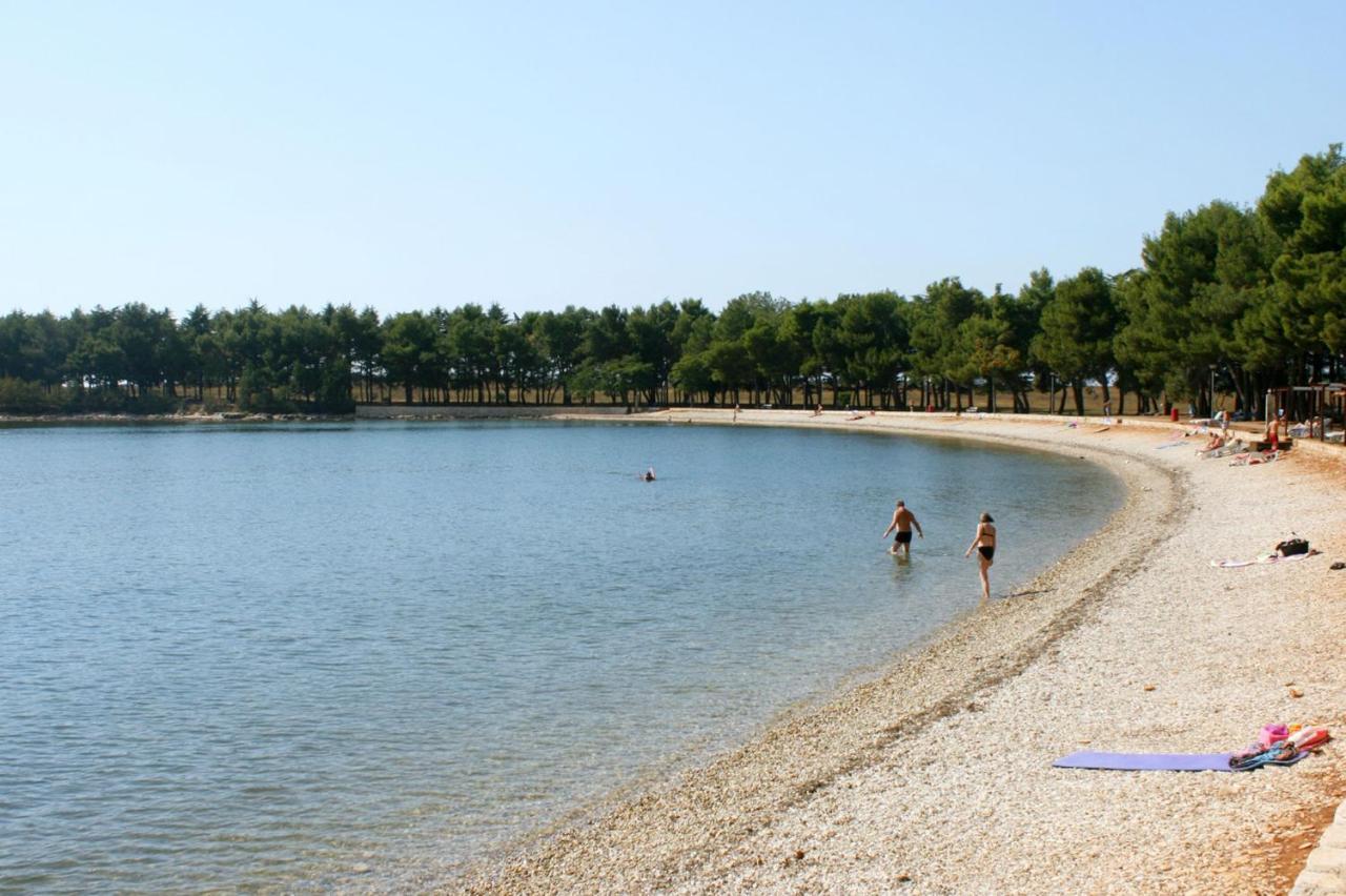 Apartments With A Swimming Pool Novigrad - 7078 المظهر الخارجي الصورة