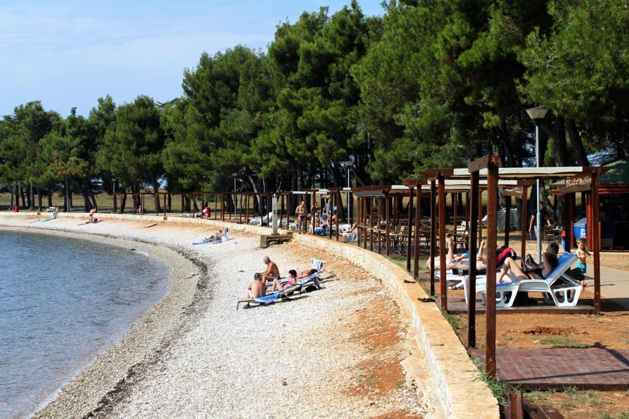 Apartments With A Swimming Pool Novigrad - 7078 المظهر الخارجي الصورة